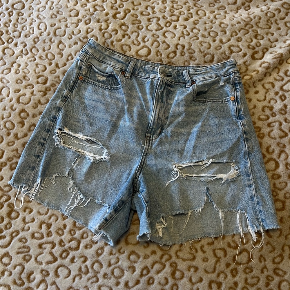 American Eagle Baggy Mom Shorts